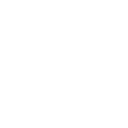 ce logo Naugatuck